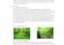 design your game systems